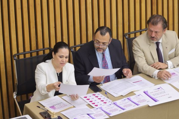 Asigna INE candidaturas a cargos por Distrito Judicial Electoral, según especialidad o materia