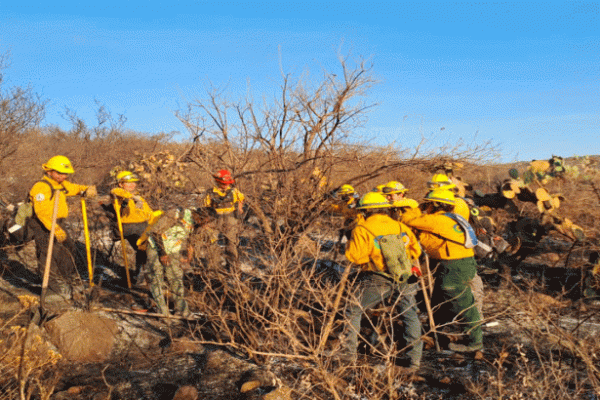 Lamenta Secretaría de Seguridad y Paz fallecimiento de voluntario durante labores contra incendio forestal