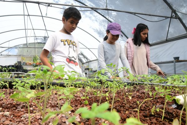 Invitan a vivir verano ecológico en Irapuato