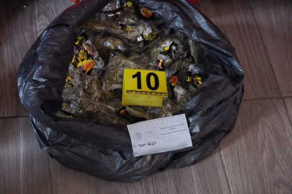 Cateo en Hacienda Guadalupe, Guanajuato: detiene FSPE a una persona