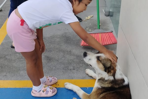 Gobierno municipal refrenda compromiso con bienestar de los animales