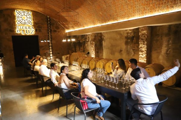 Guanajuato cuenta con 62 proyectos vitivinícolas, de los cuales 27 ya tienen oferta