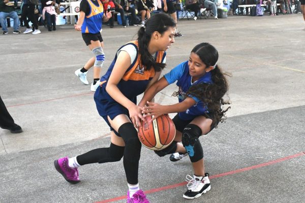 Irapuato sede de la copa Liga Telmex Telcel de basquetbol